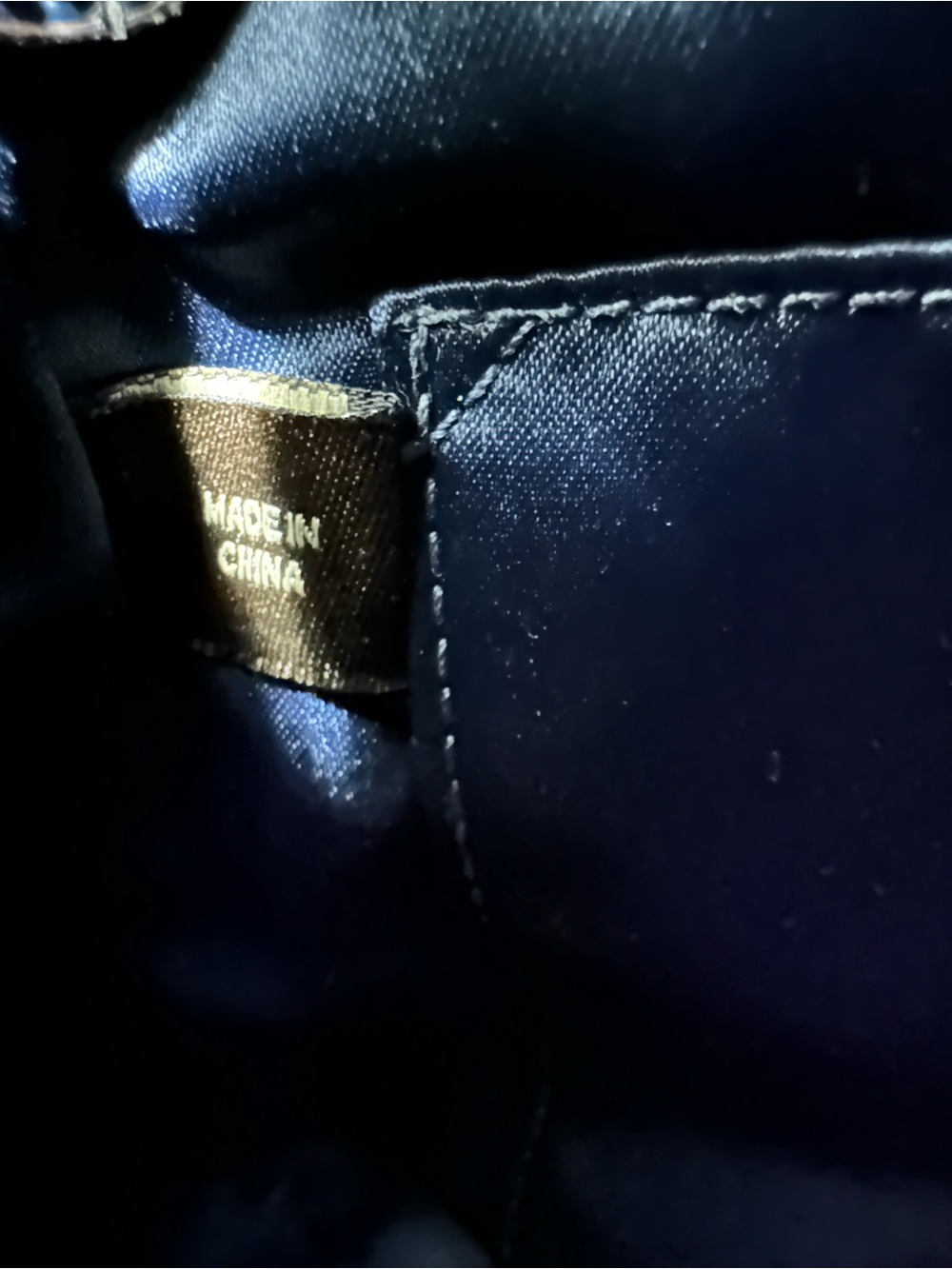 Coach Poppy Hippie Glam Signature Print Crossbody Swingpack in Blue - Picture 6 of 7